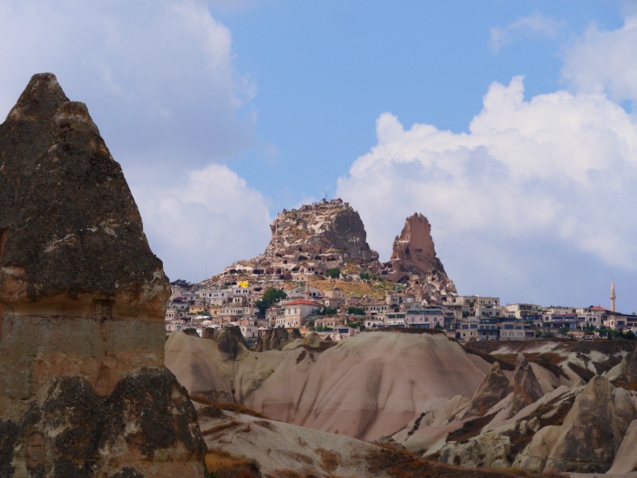 The Fogorellis Go Feral