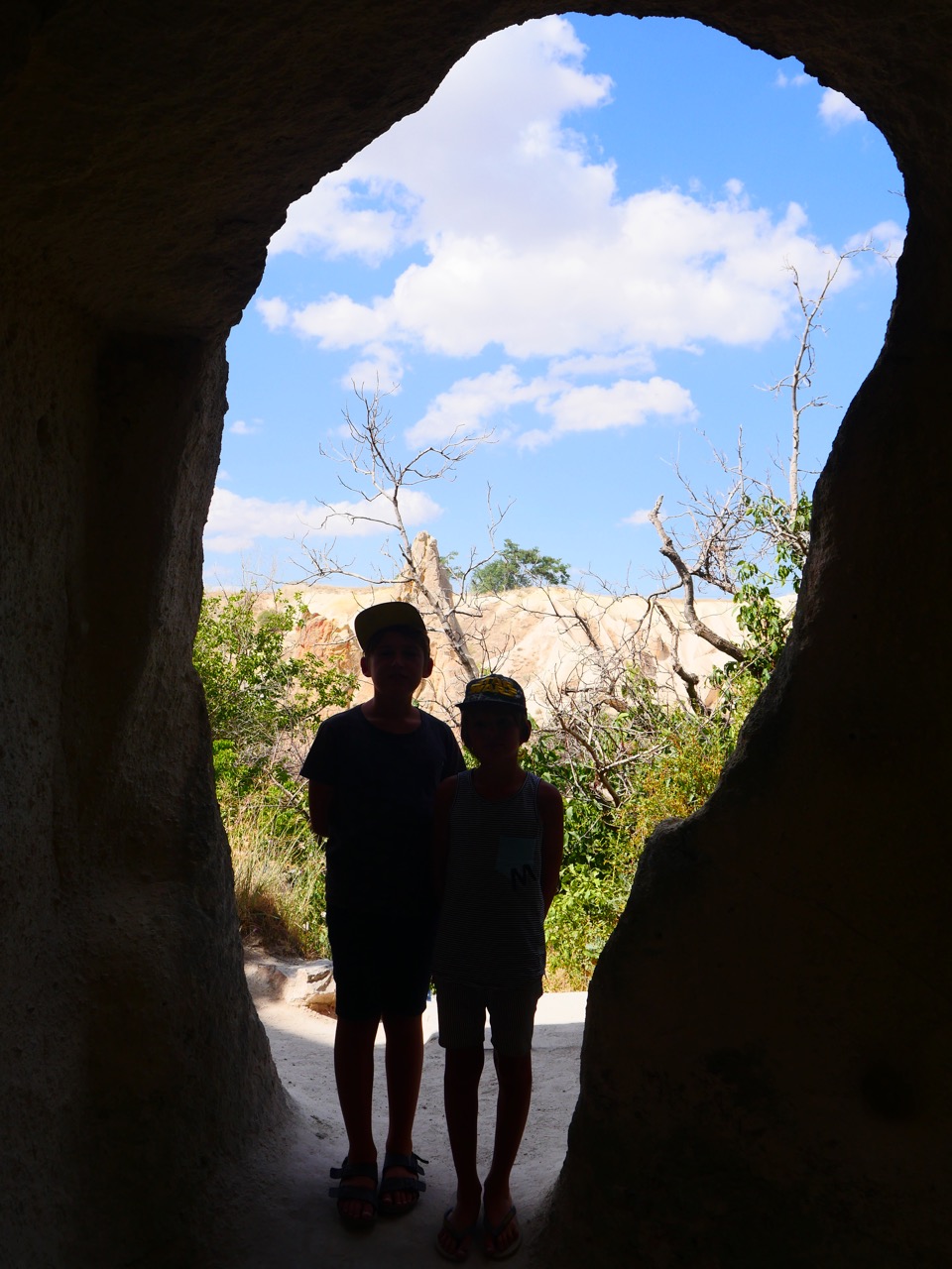 The Fogorellis Go Feral