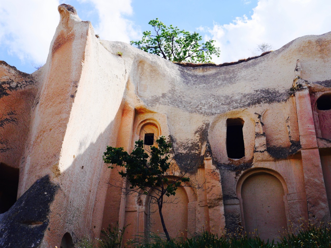 The Fogorellis Go Feral