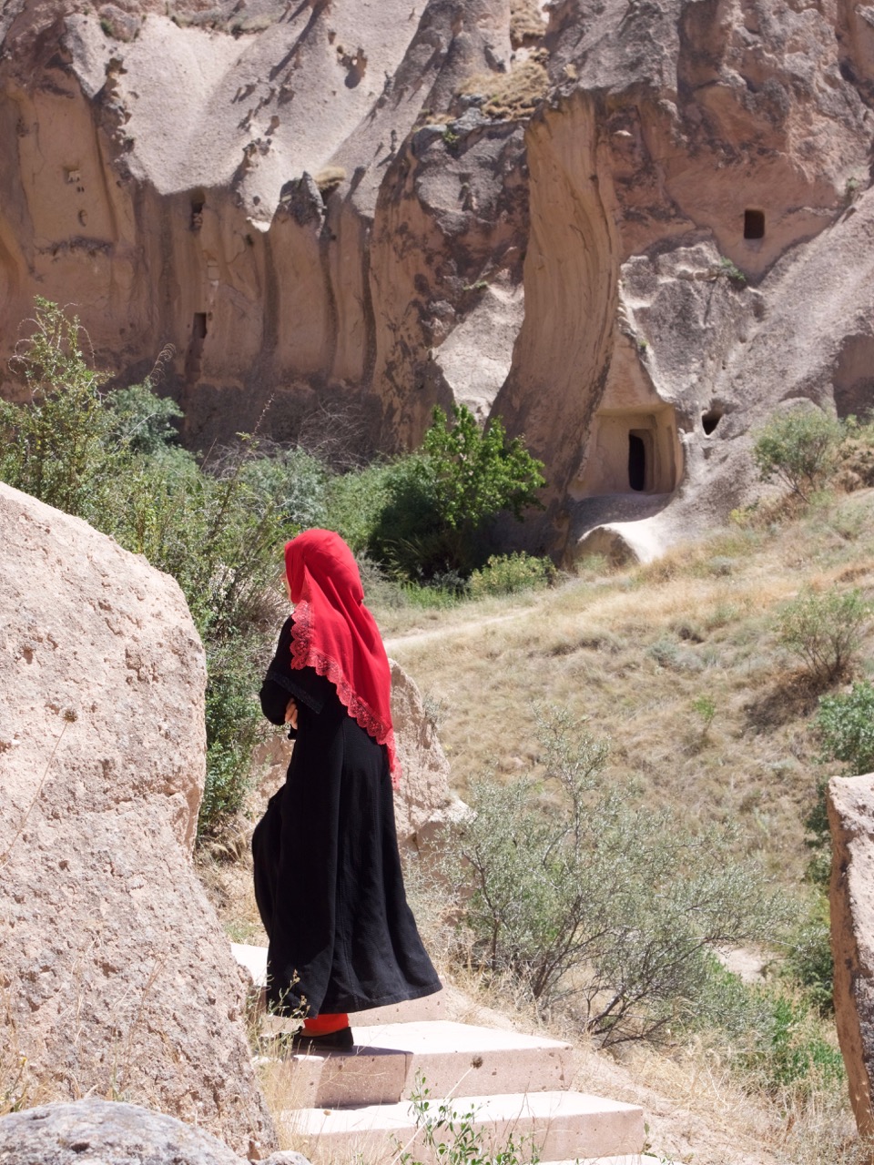 The Fogorellis Go Feral