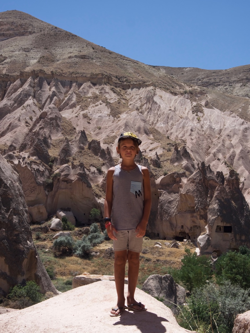 The Fogorellis Go Feral