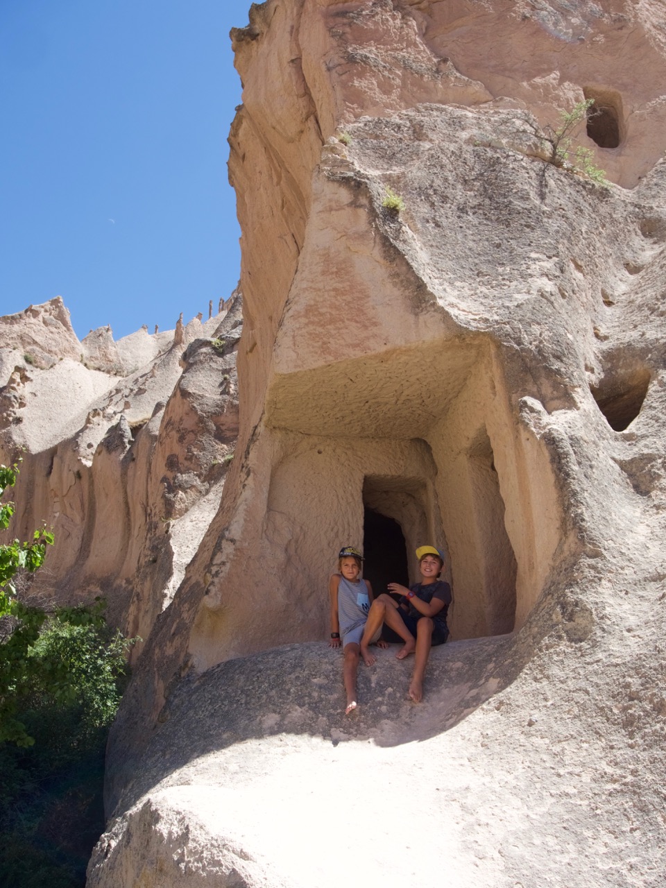 The Fogorellis Go Feral