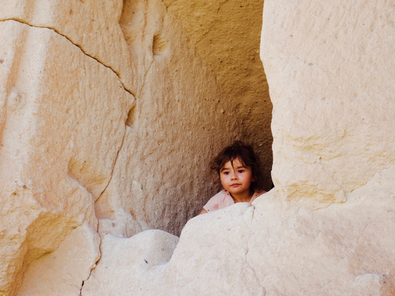 The Fogorellis Go Feral