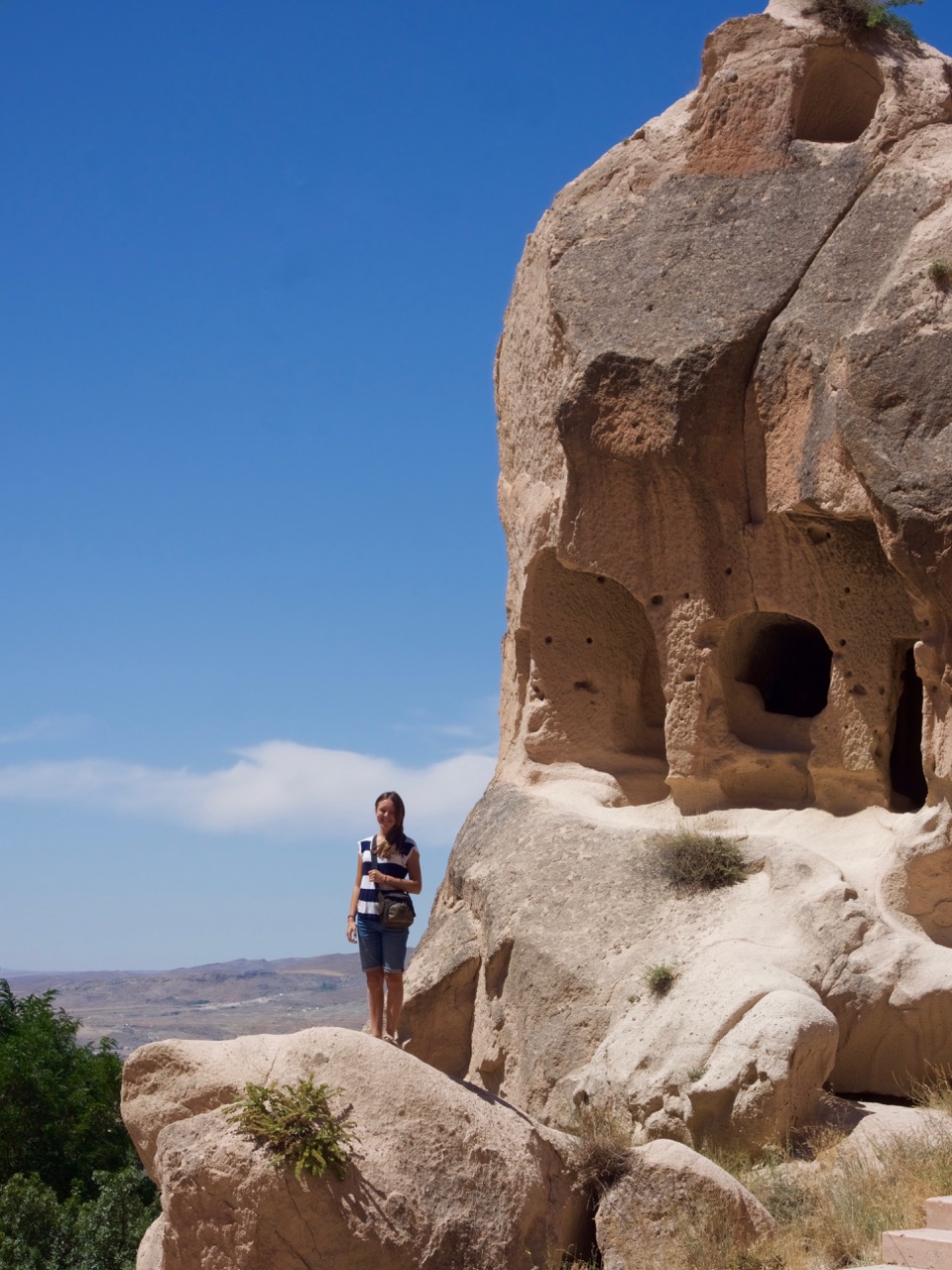 The Fogorellis Go Feral