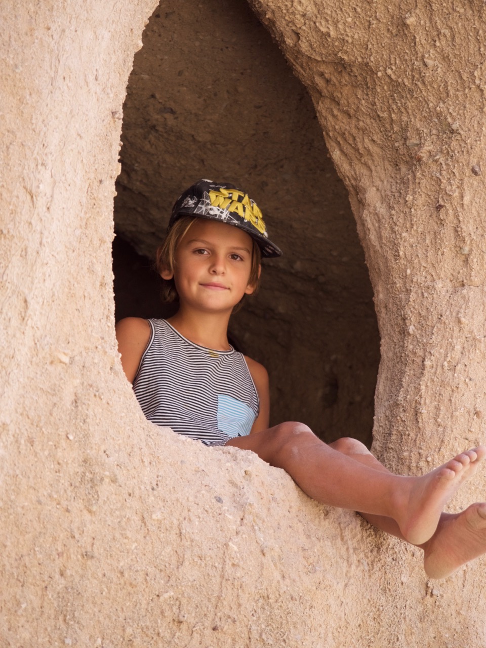 The Fogorellis Go Feral