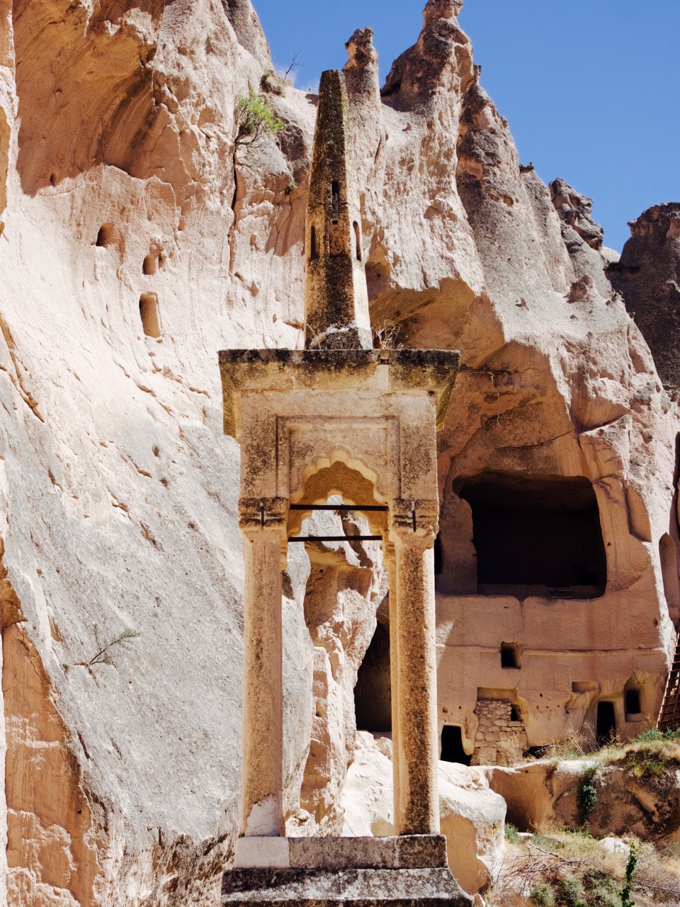 The Fogorellis Go Feral