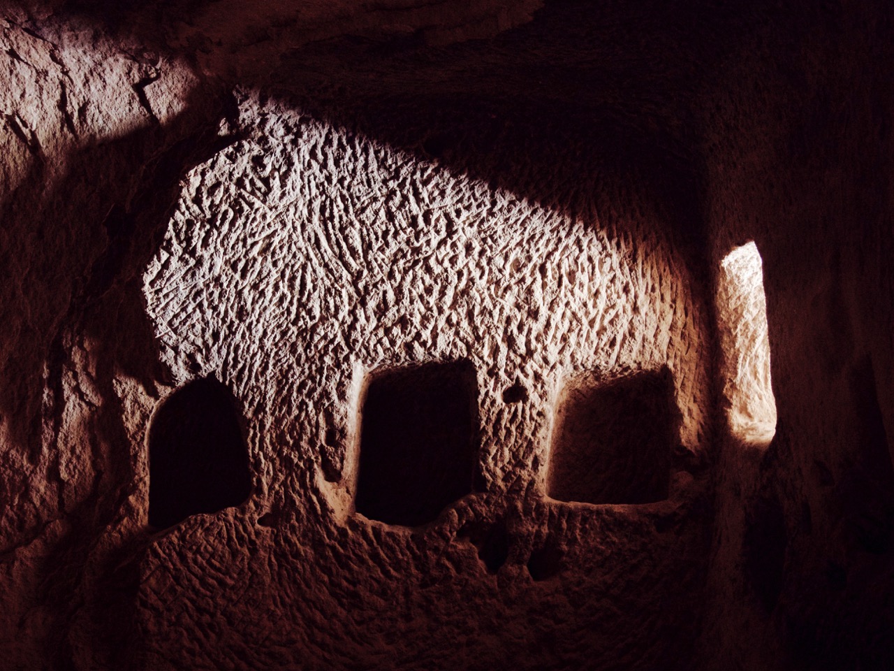 The Fogorellis Go Feral