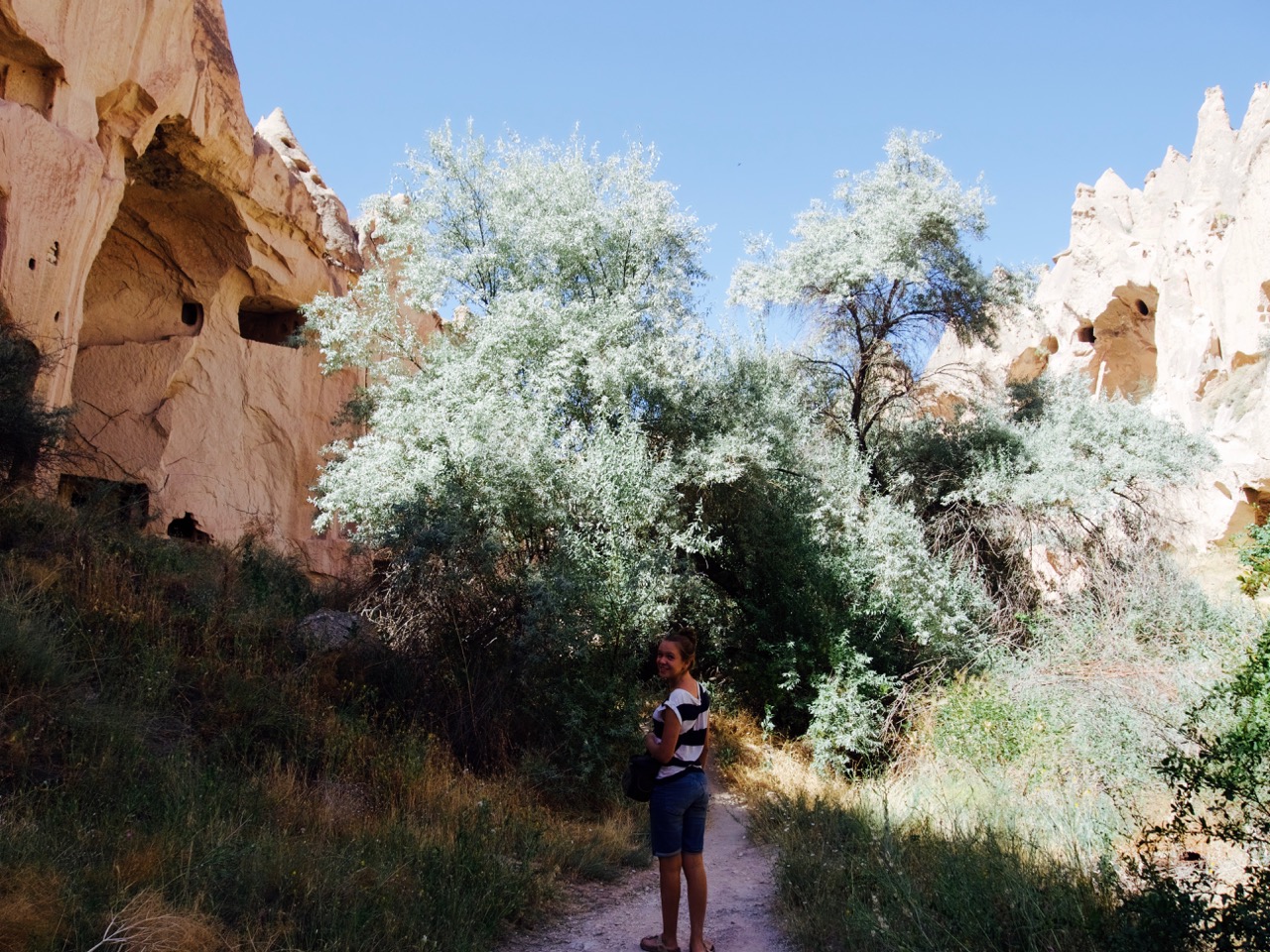 The Fogorellis Go Feral