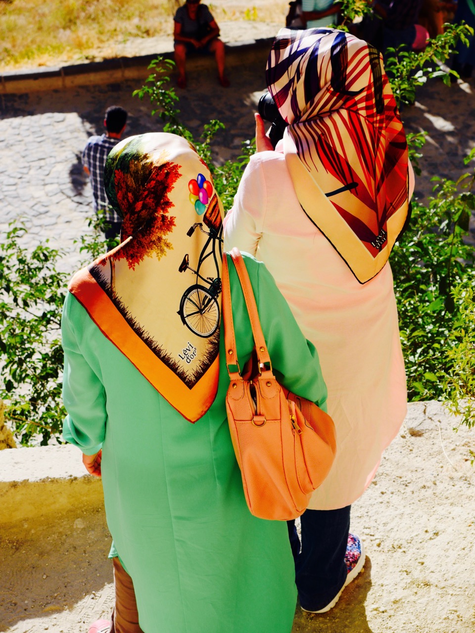 The Fogorellis Go Feral