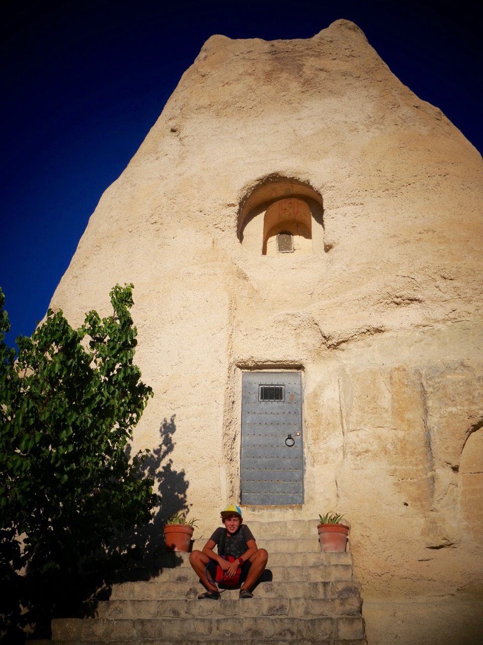 The Fogorellis Go Feral