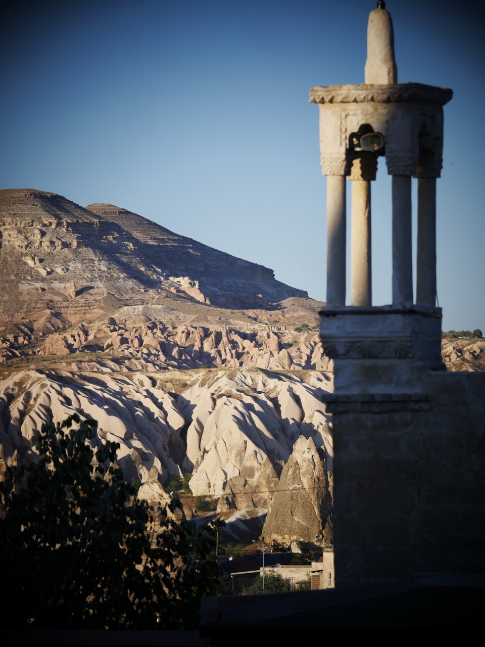 The Fogorellis Go Feral