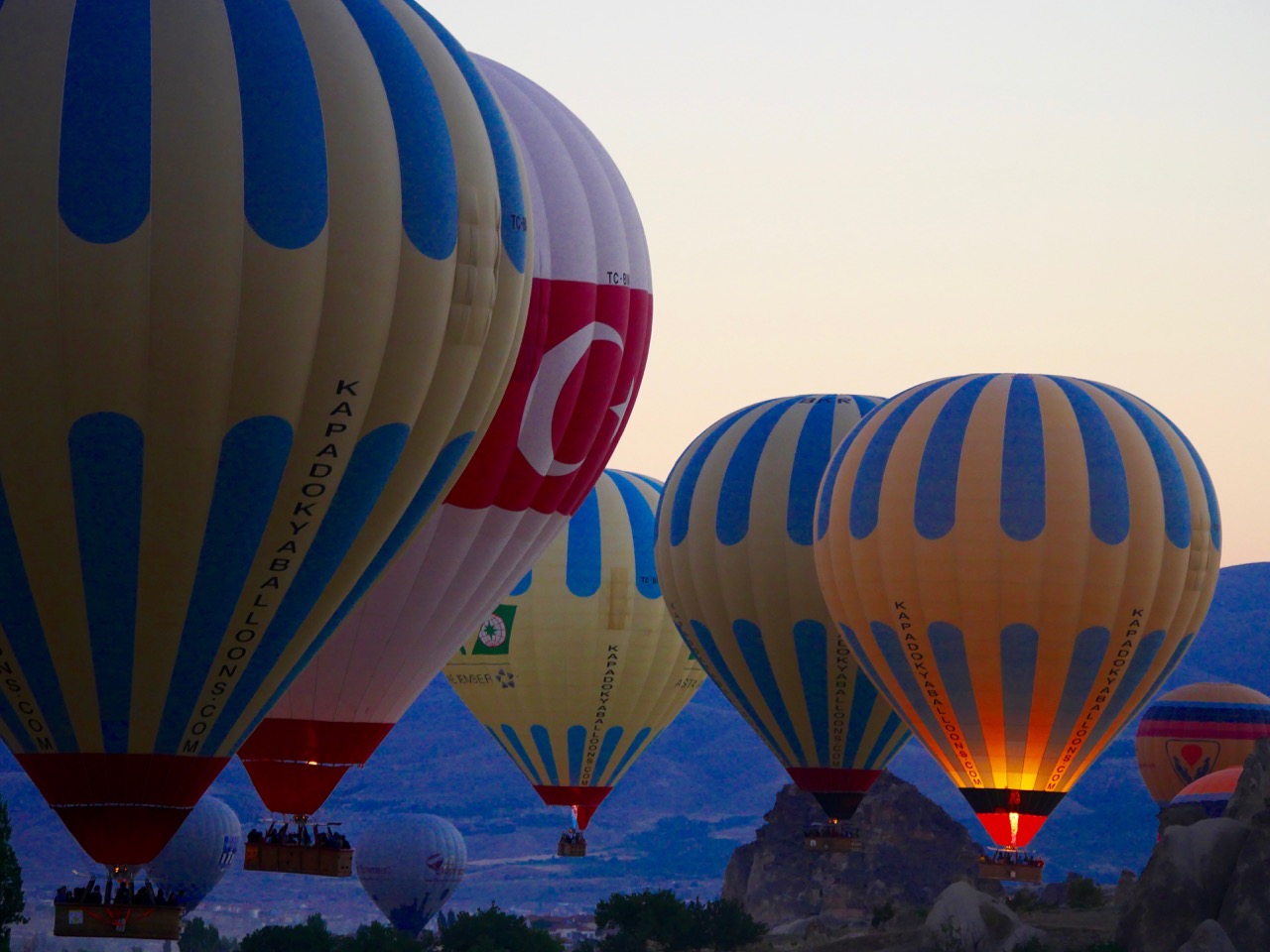 The Fogorellis Go Feral