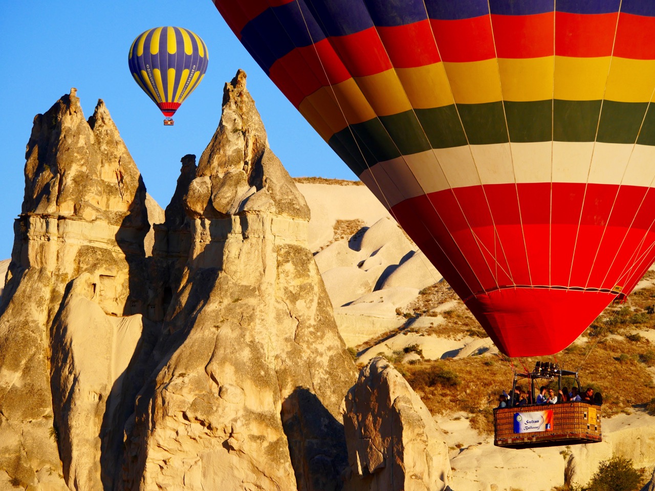 The Fogorellis Go Feral