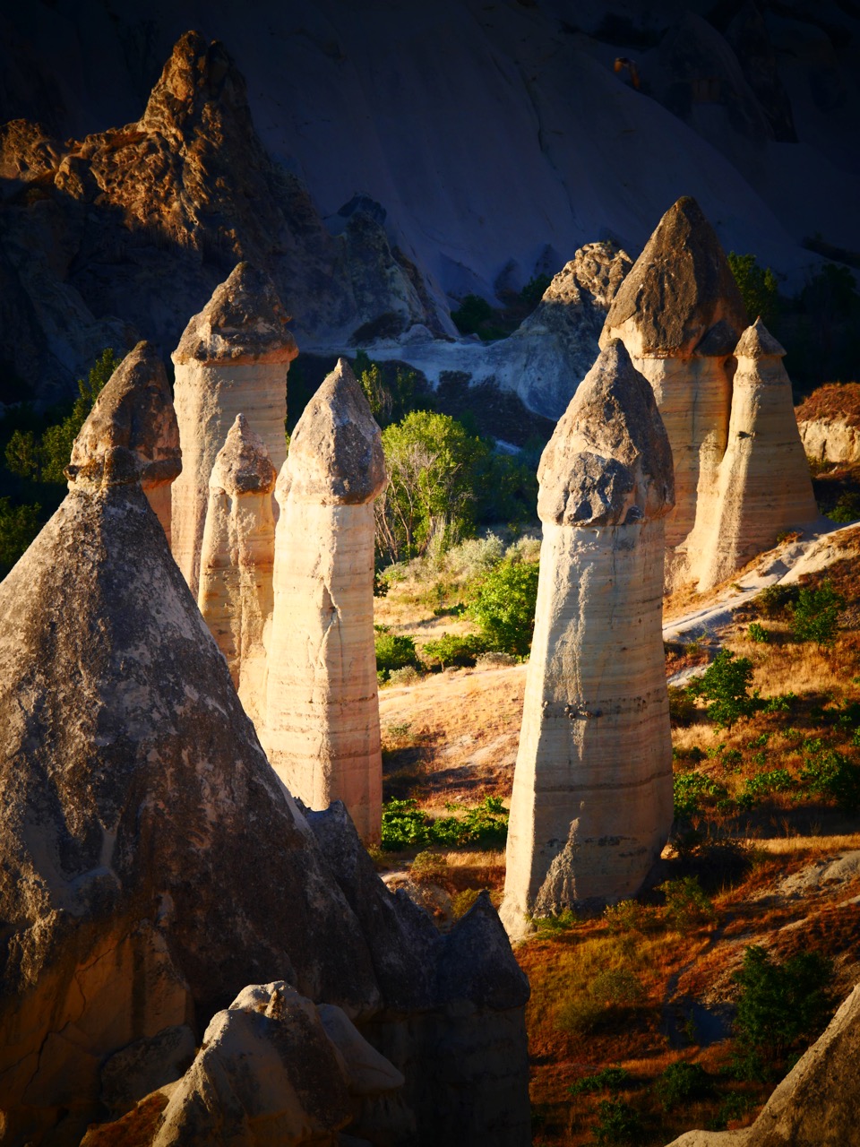 The Fogorellis Go Feral