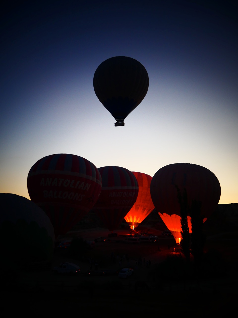 The Fogorellis Go Feral