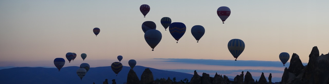 The Fogorellis Go Feral