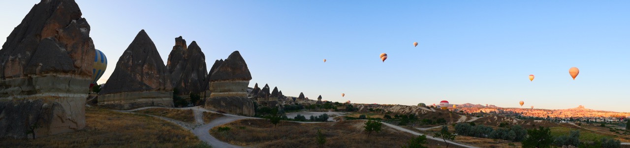 The Fogorellis Go Feral