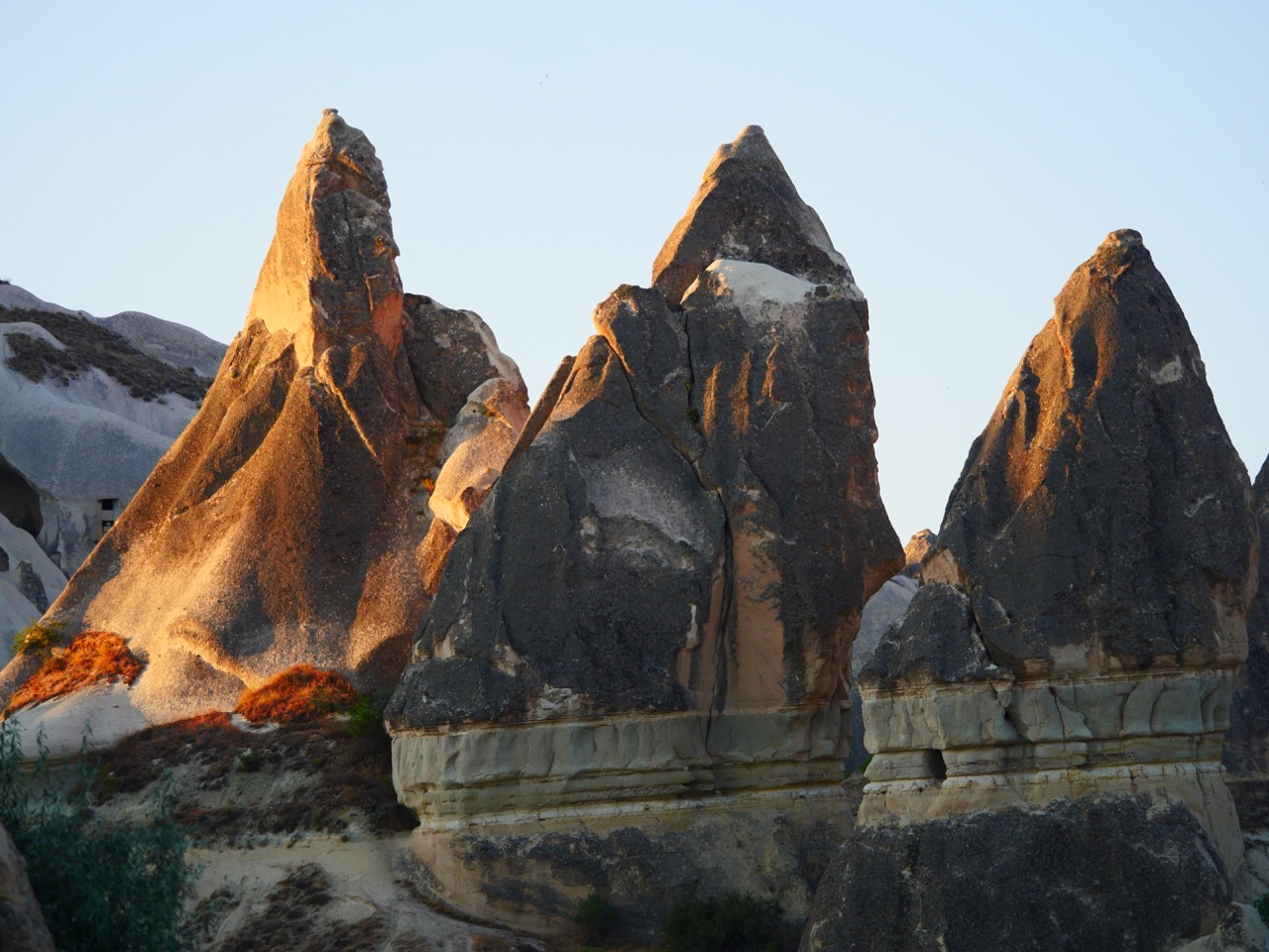 The Fogorellis Go Feral