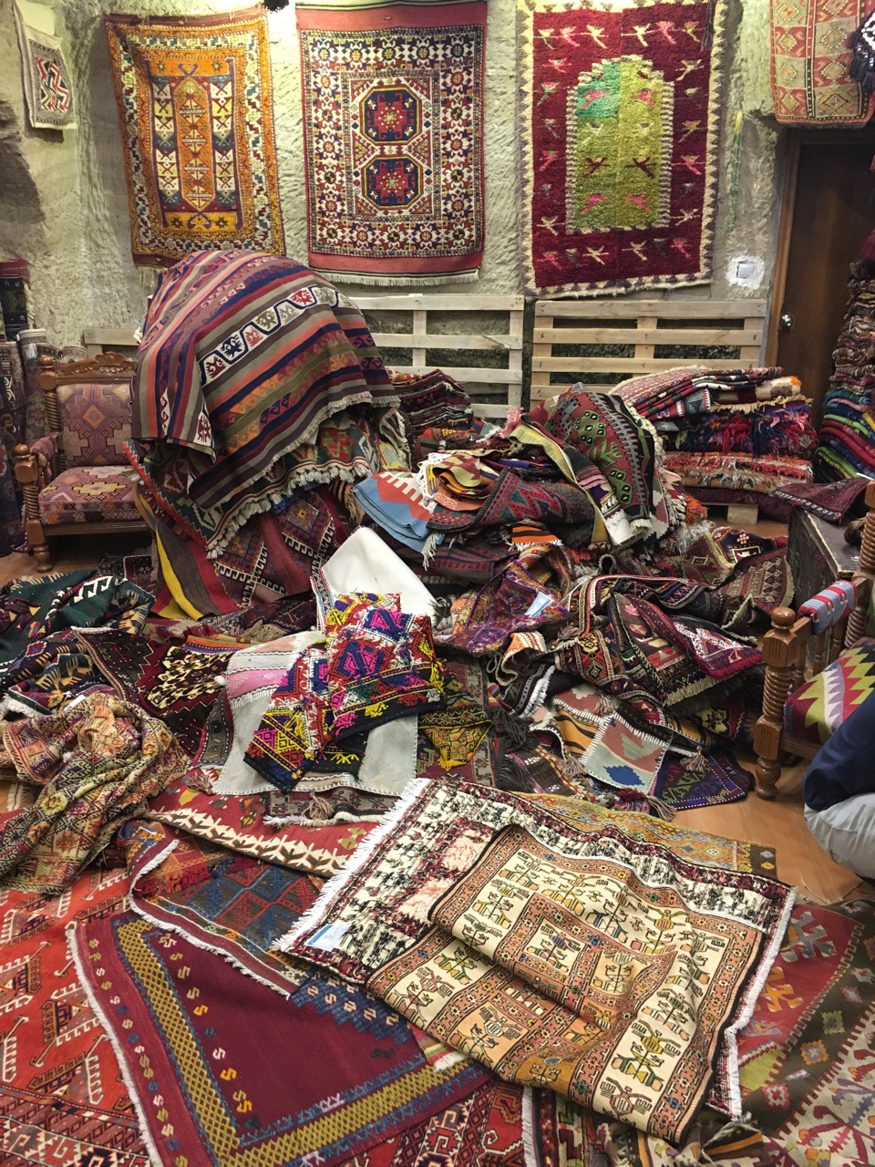 The Fogorellis Go Feral