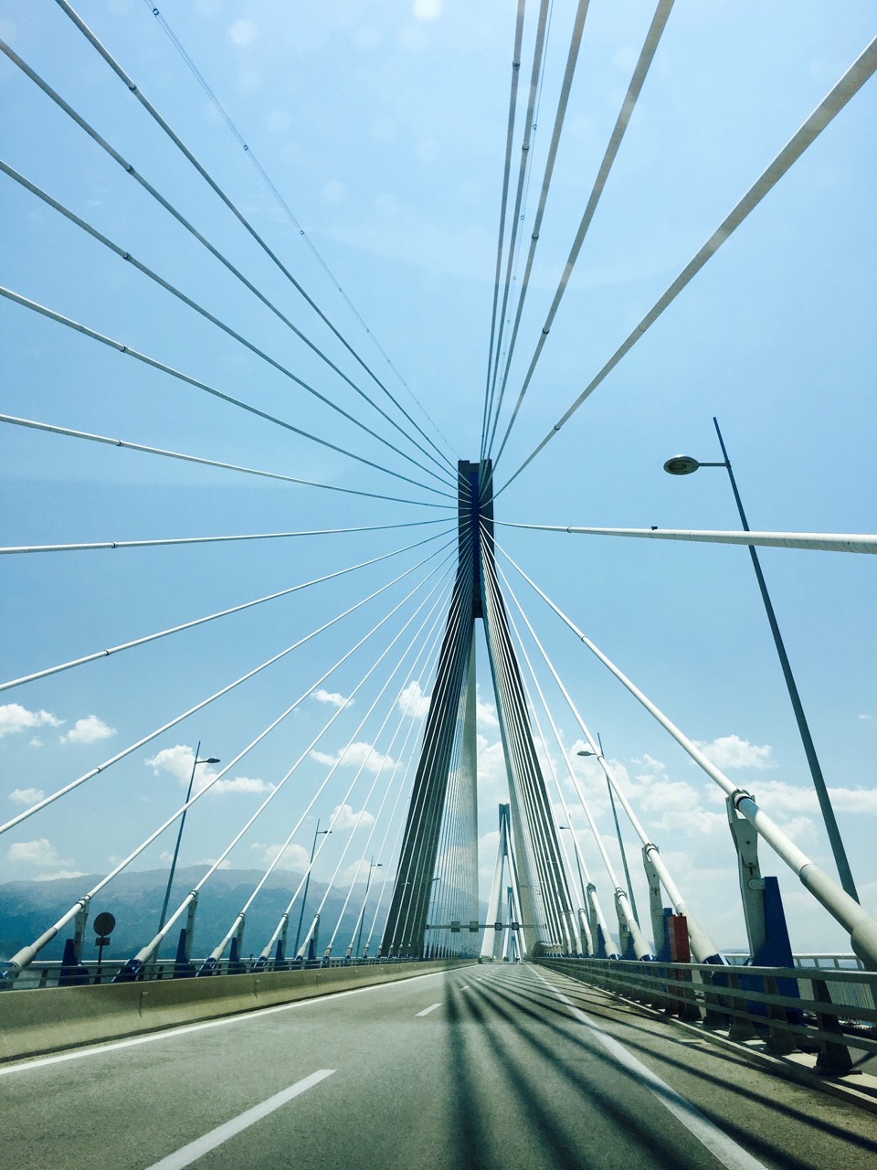 The Fogorellis Go Feral