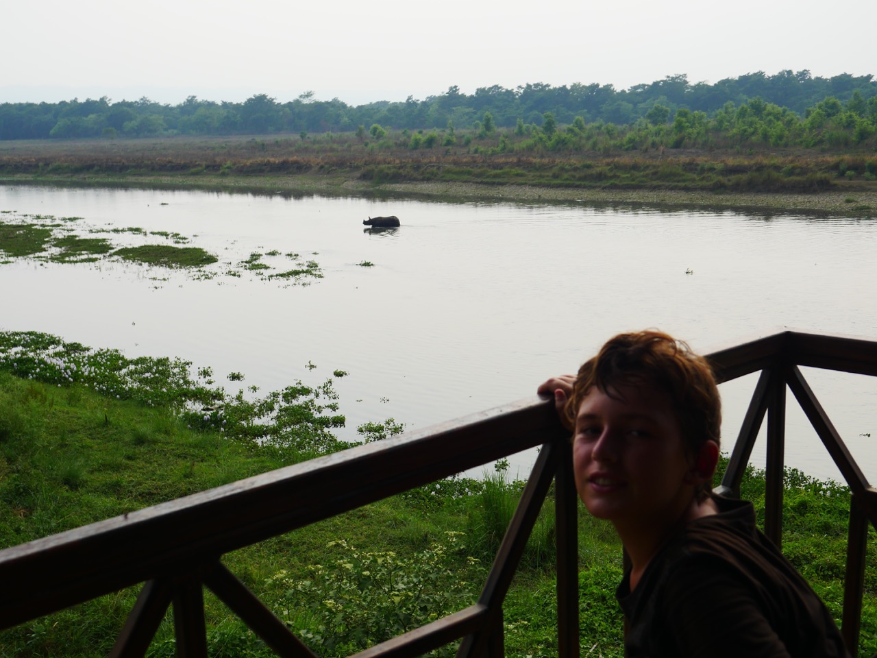 The Fogorellis Go Feral