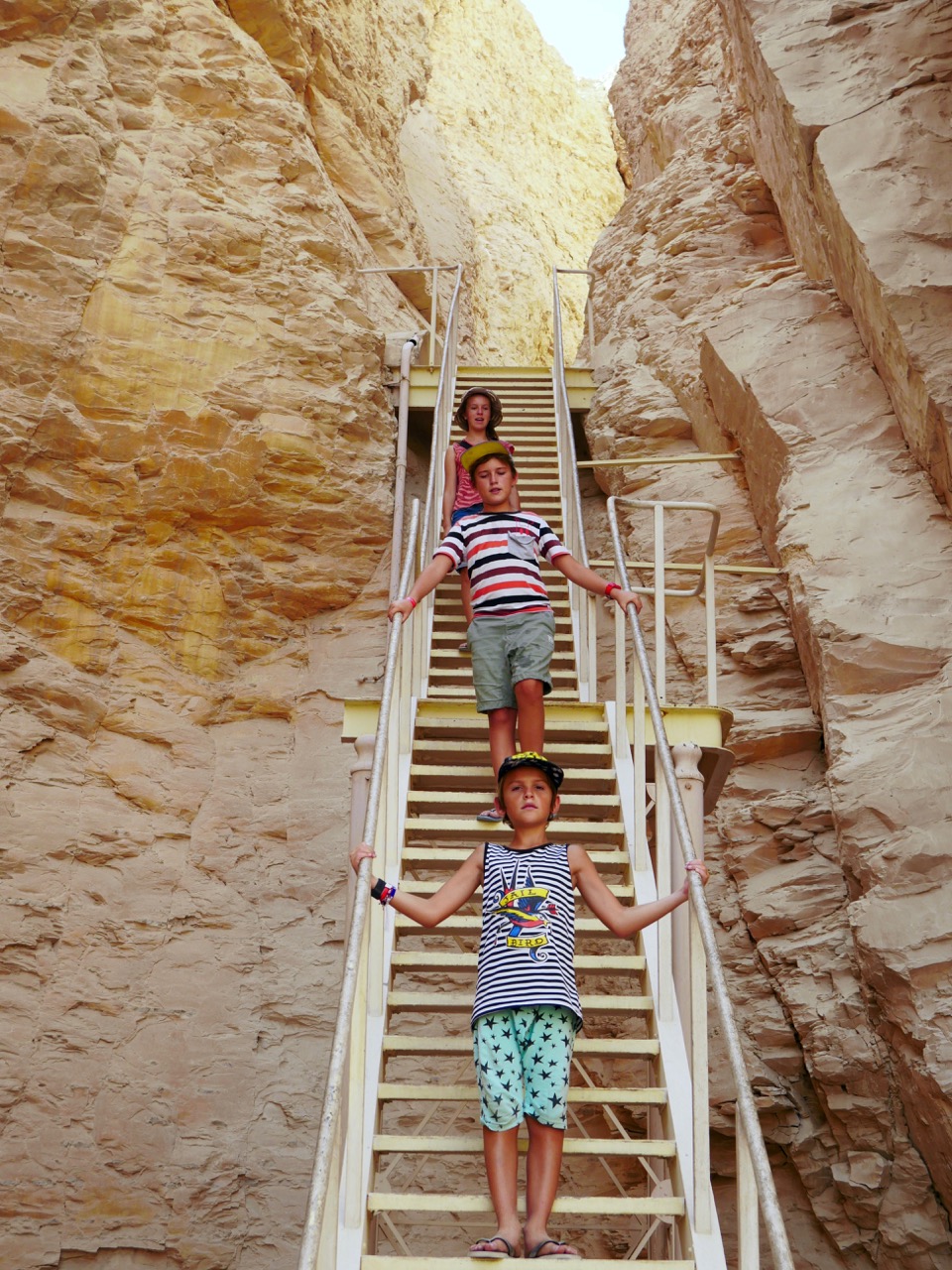 The Fogorellis Go Feral