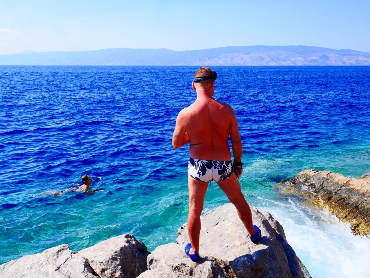 The Fogorellis Go Feral