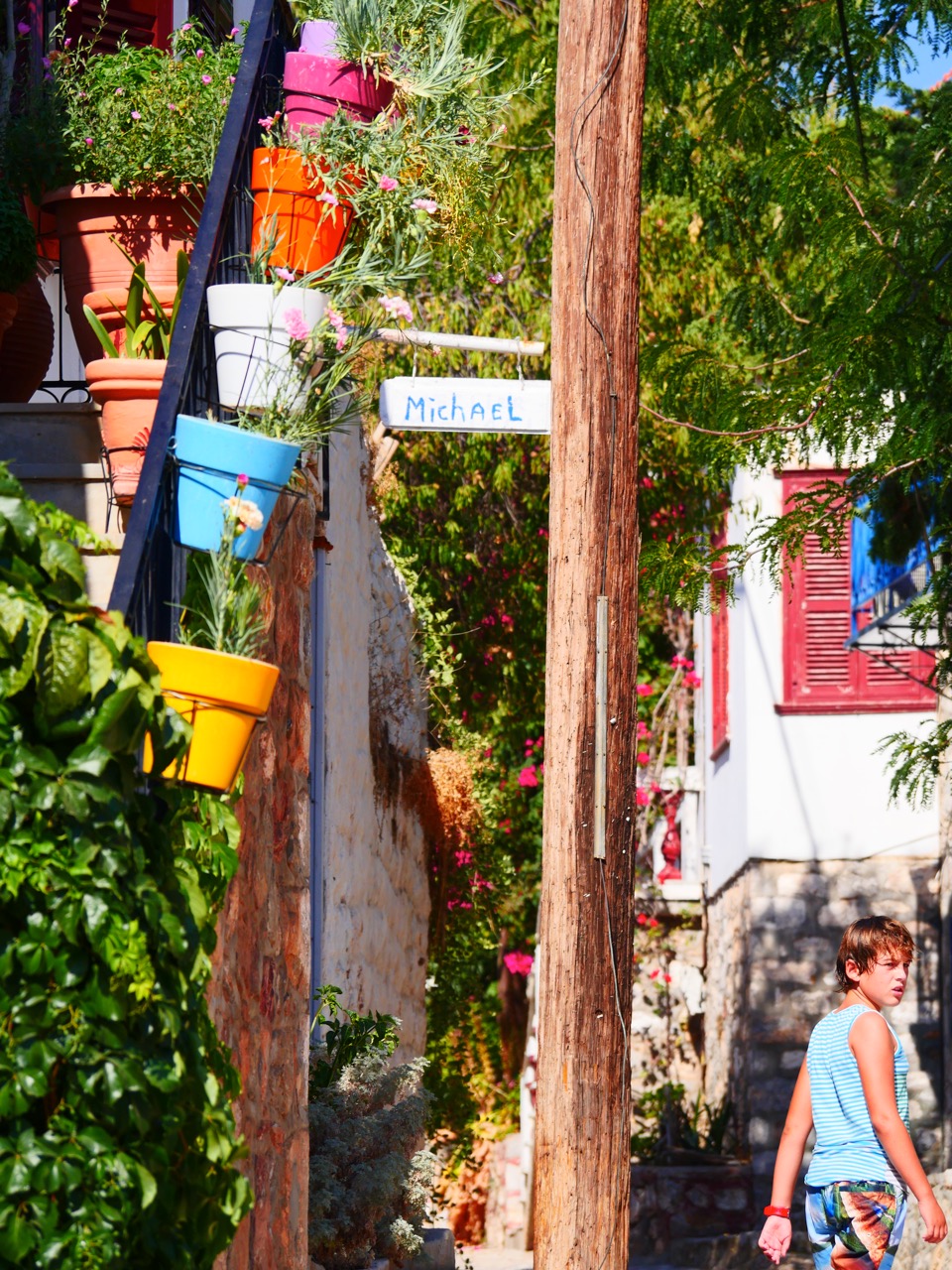 The Fogorellis Go Feral