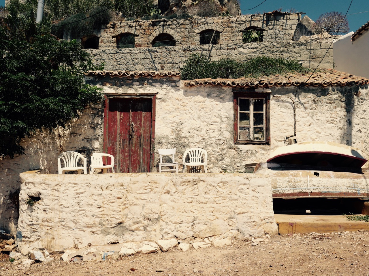 The Fogorellis Go Feral