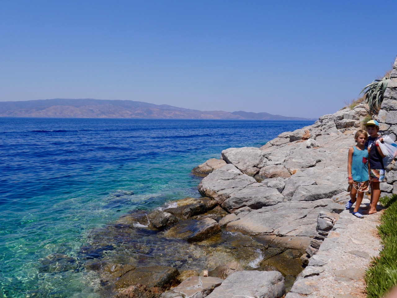 The Fogorellis Go Feral