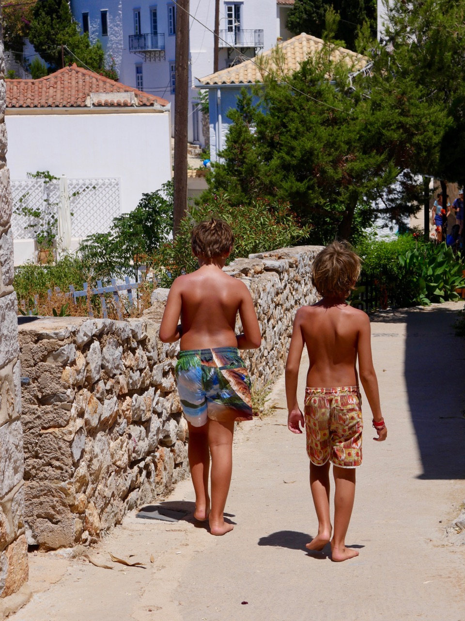 The Fogorellis Go Feral