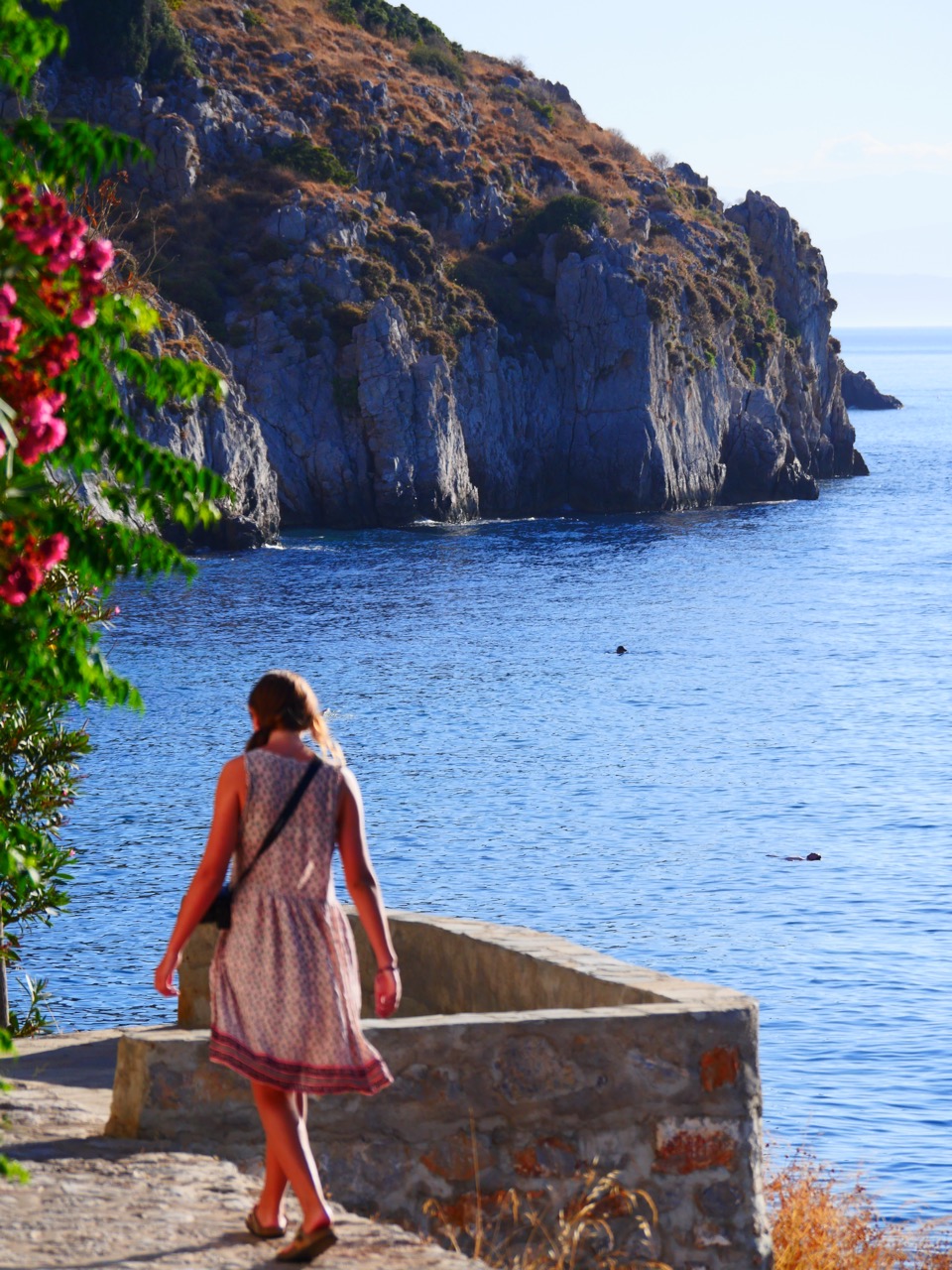 The Fogorellis Go Feral