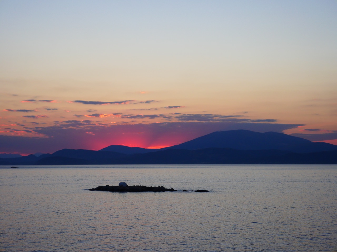 The Fogorellis Go Feral