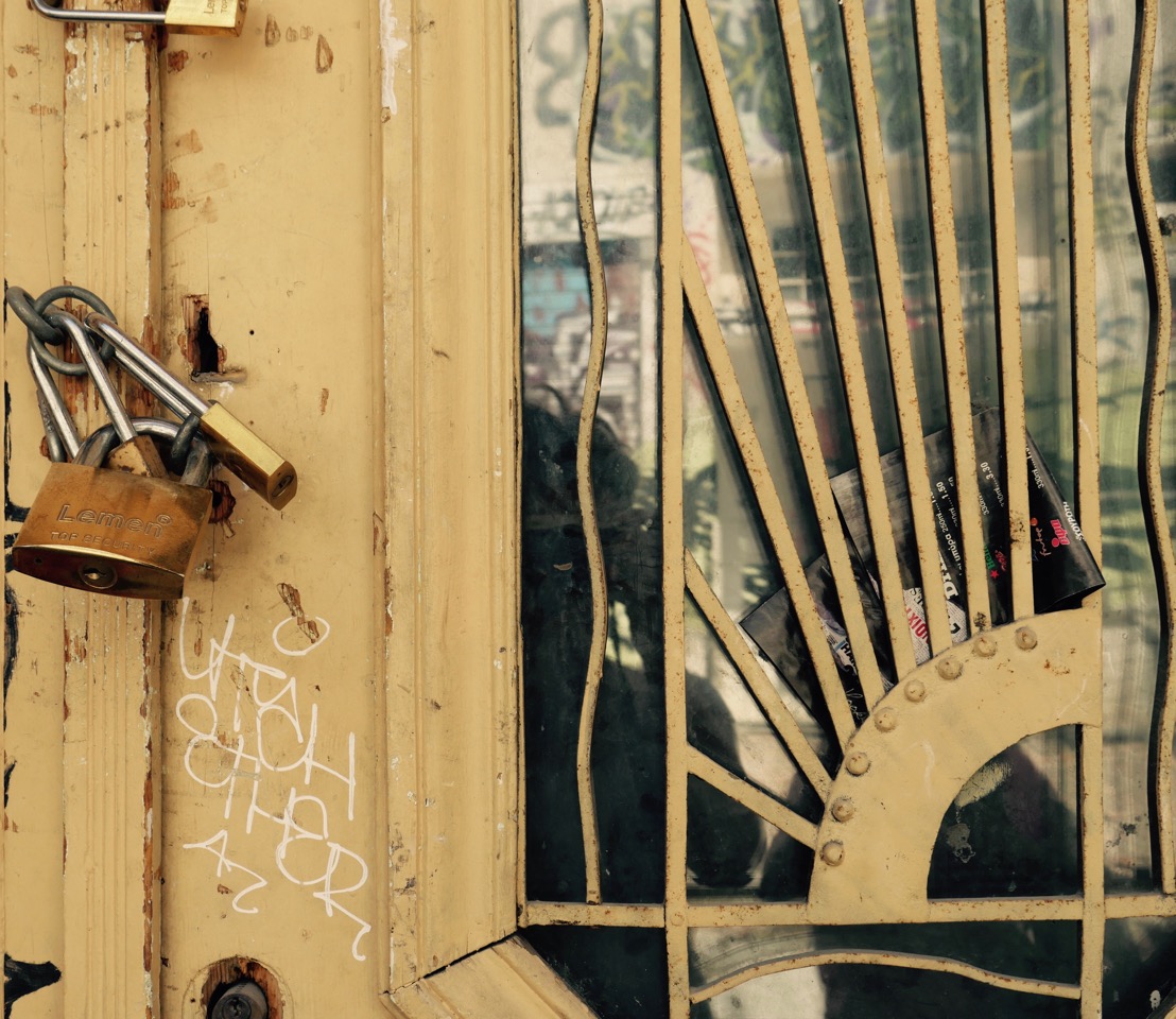 The Fogorellis Go Feral