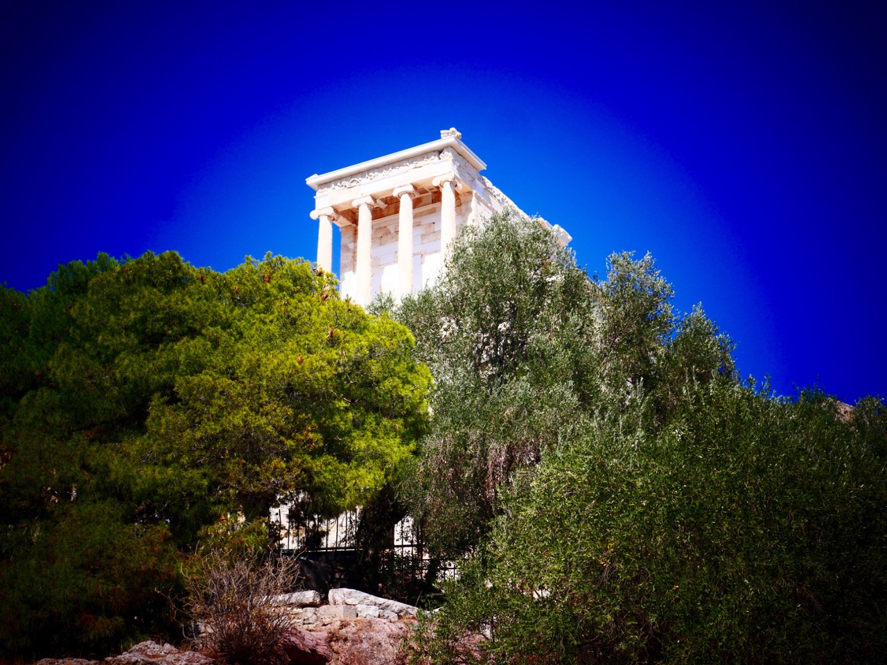 The Fogorellis Go Feral