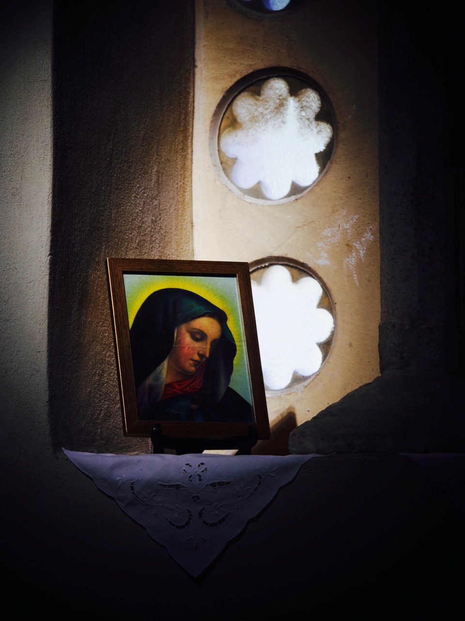 The Fogorellis Go Feral