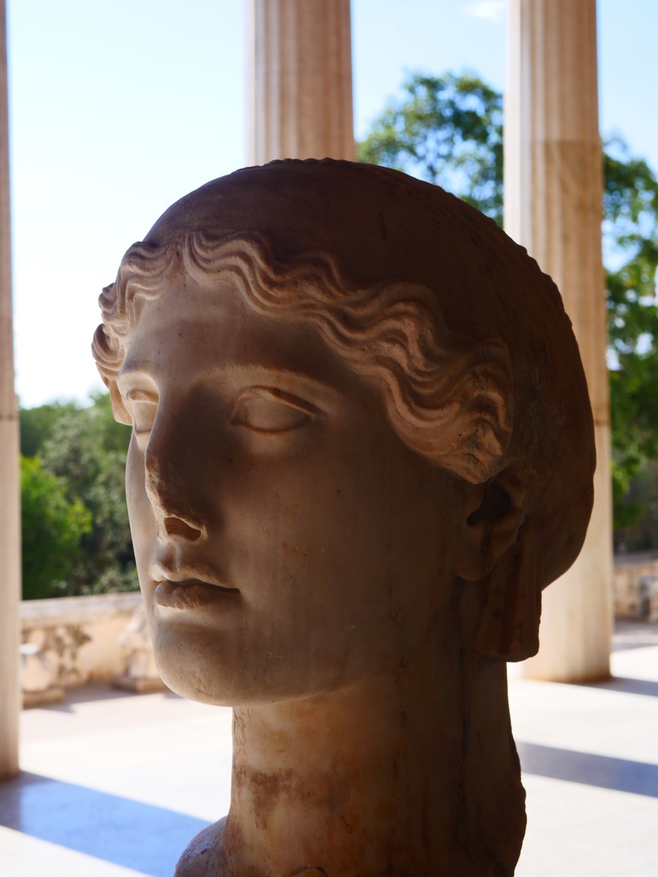 The Fogorellis Go Feral