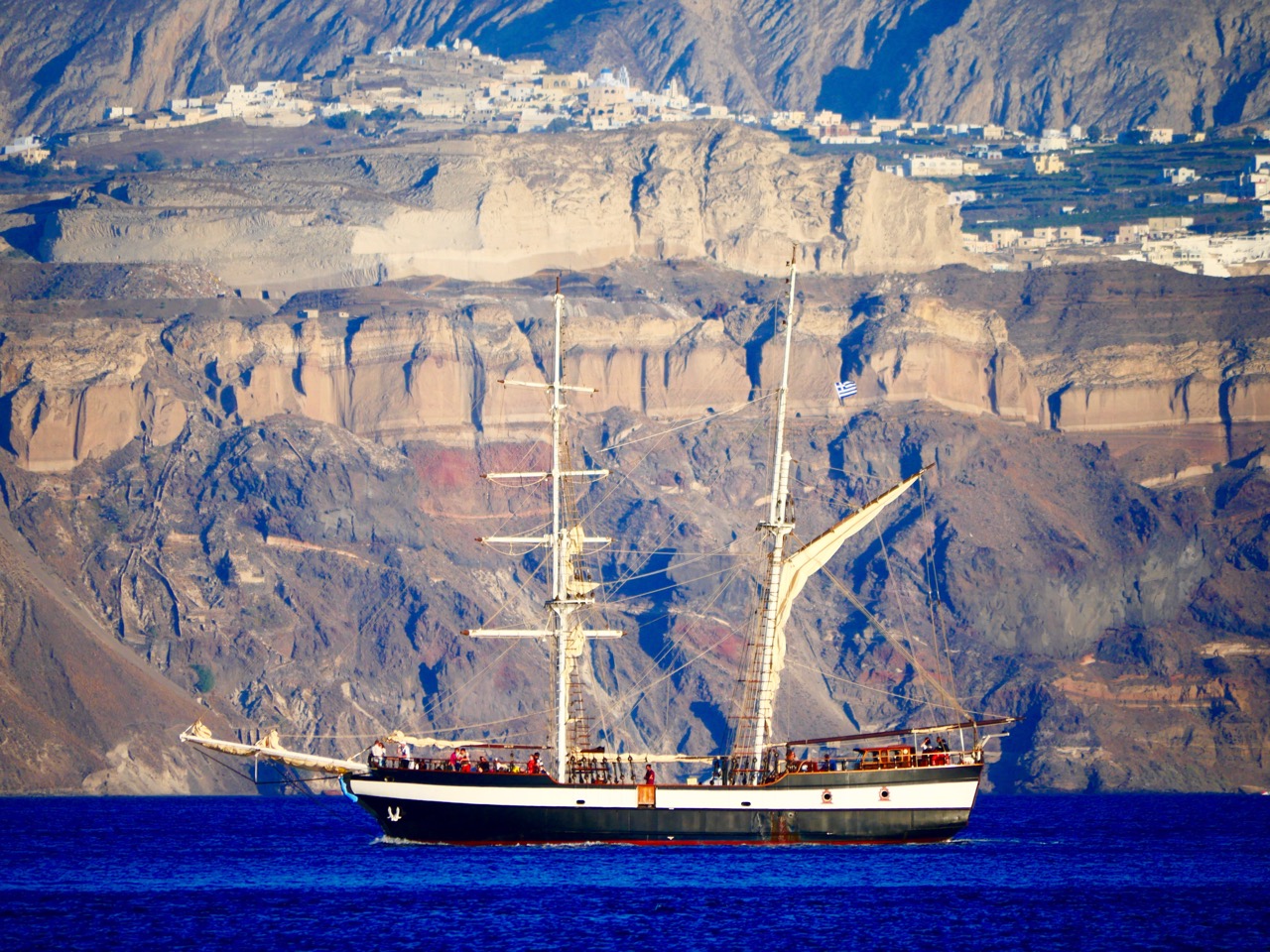 The Fogorellis Go Feral