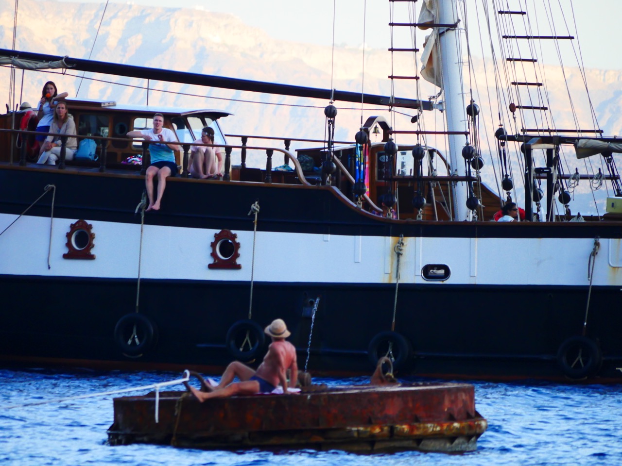 The Fogorellis Go Feral