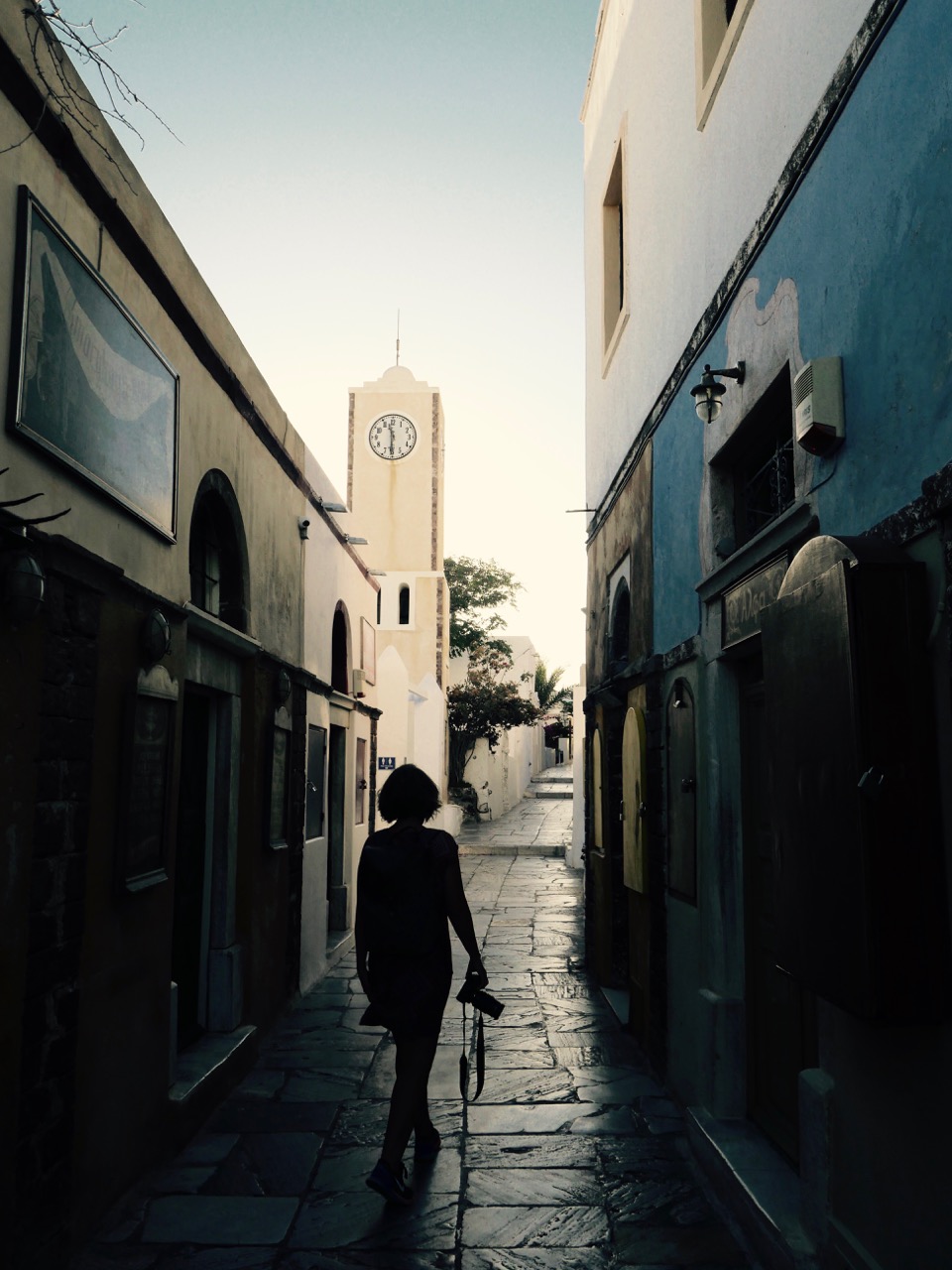 The Fogorellis Go Feral