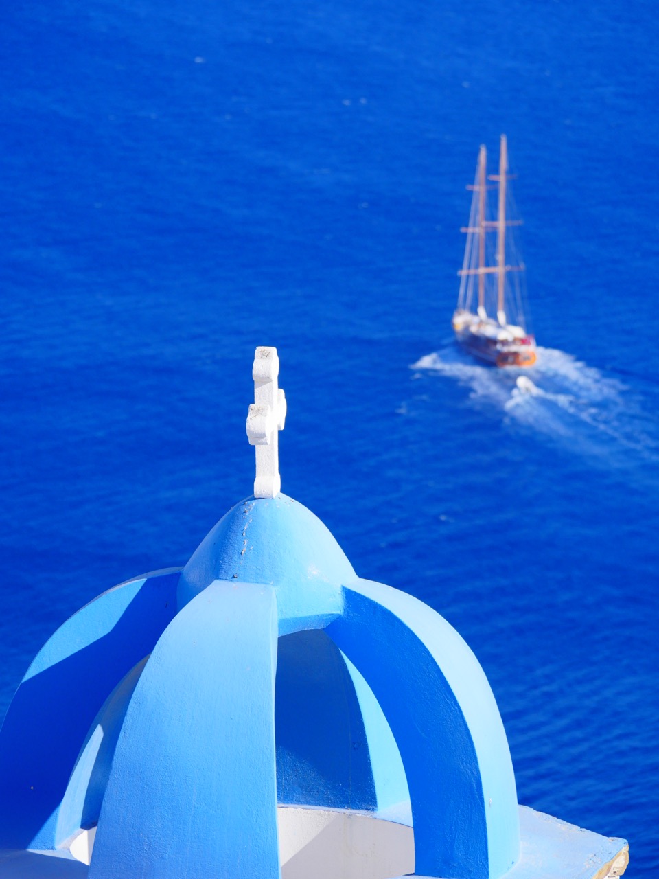 The Fogorellis Go Feral