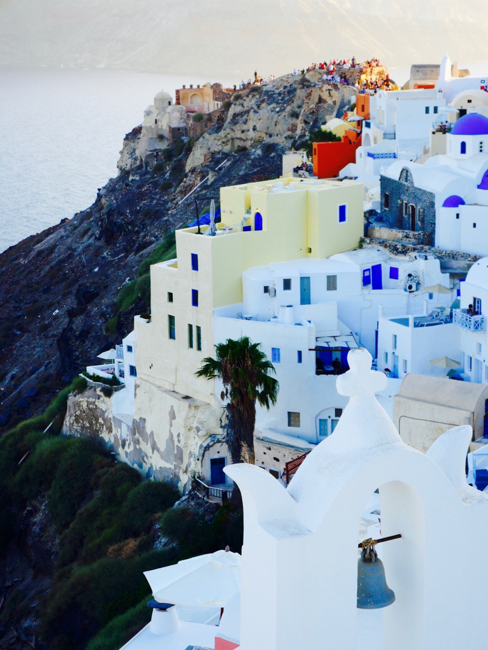 The Fogorellis Go Feral