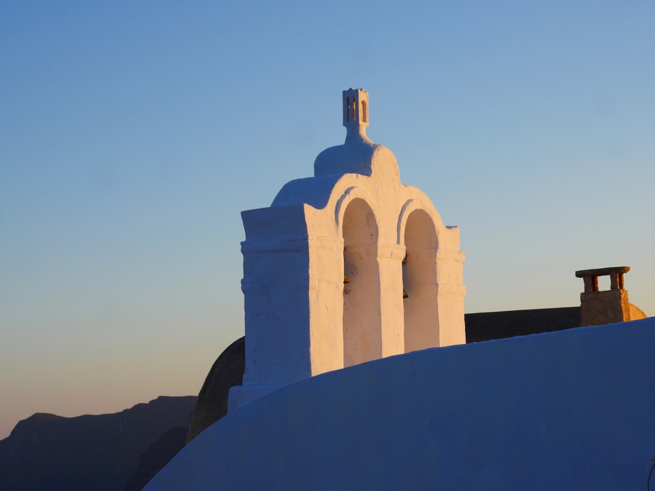 The Fogorellis Go Feral