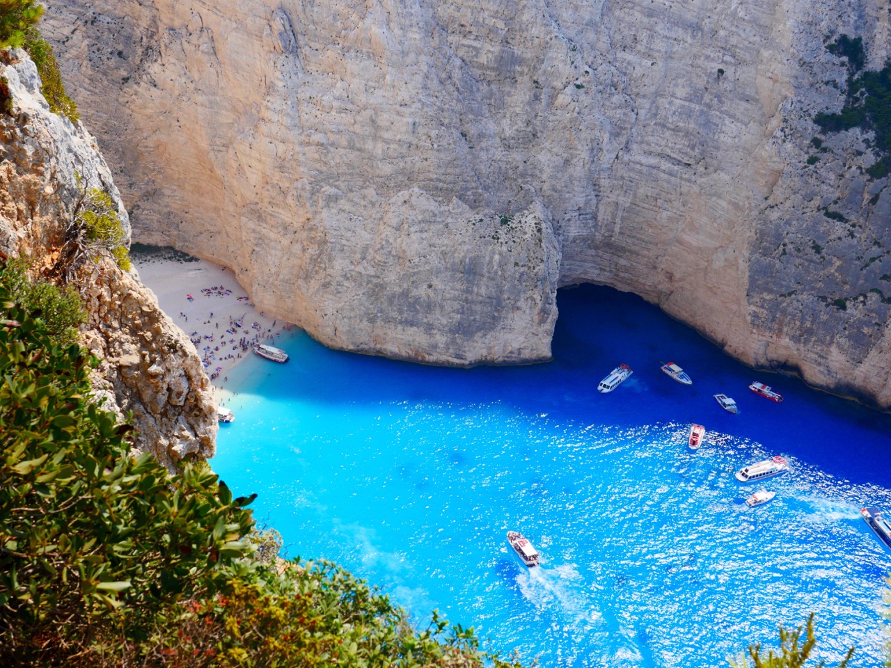 The Fogorellis Go Feral