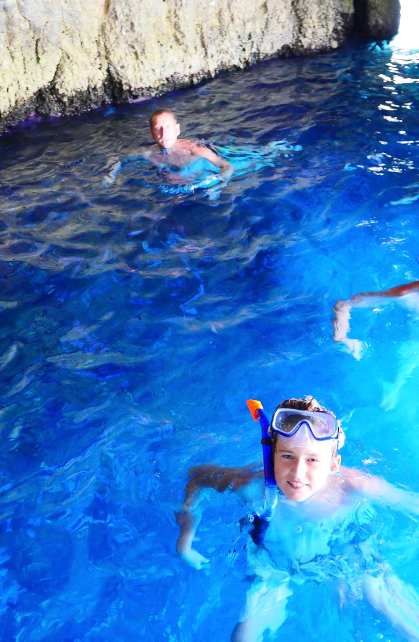 The Fogorellis Go Feral