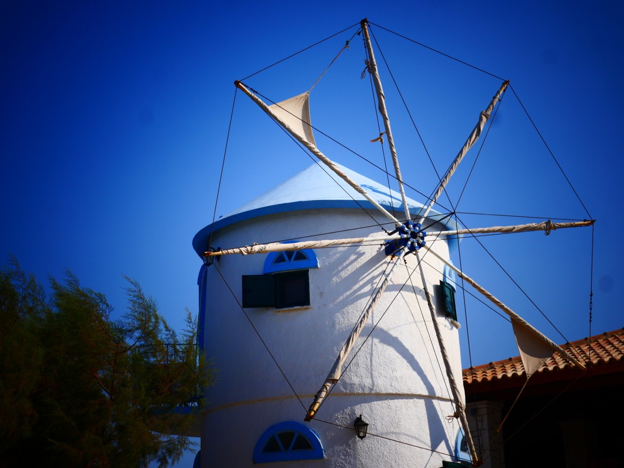 The Fogorellis Go Feral