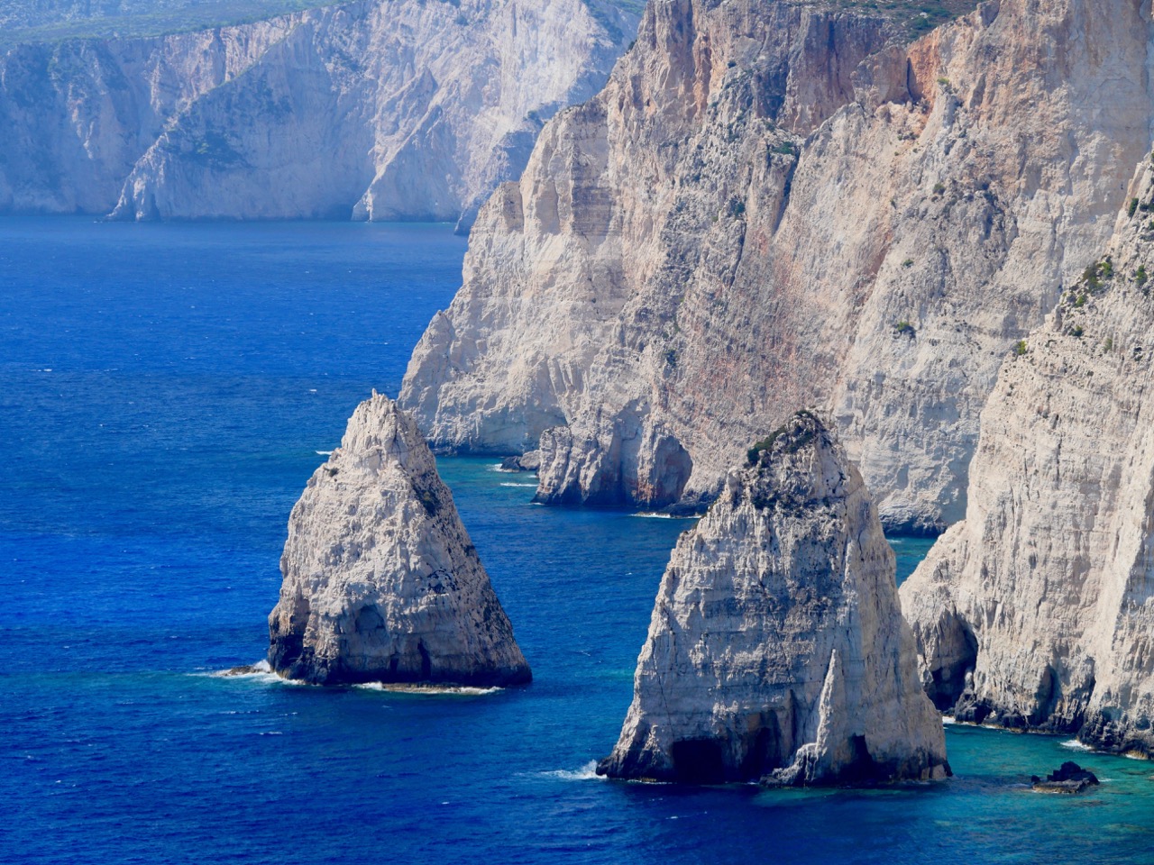 The Fogorellis Go Feral