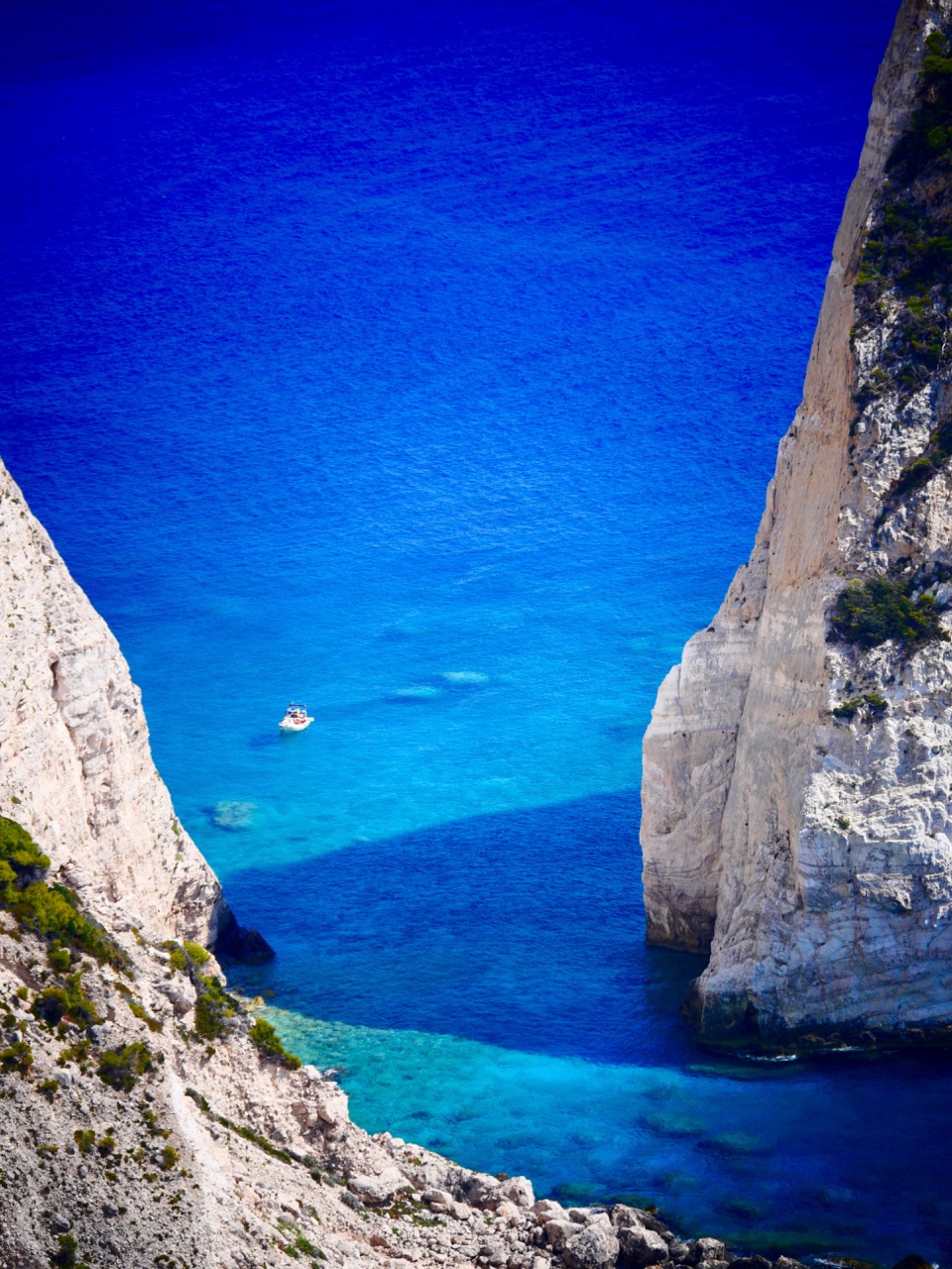 The Fogorellis Go Feral