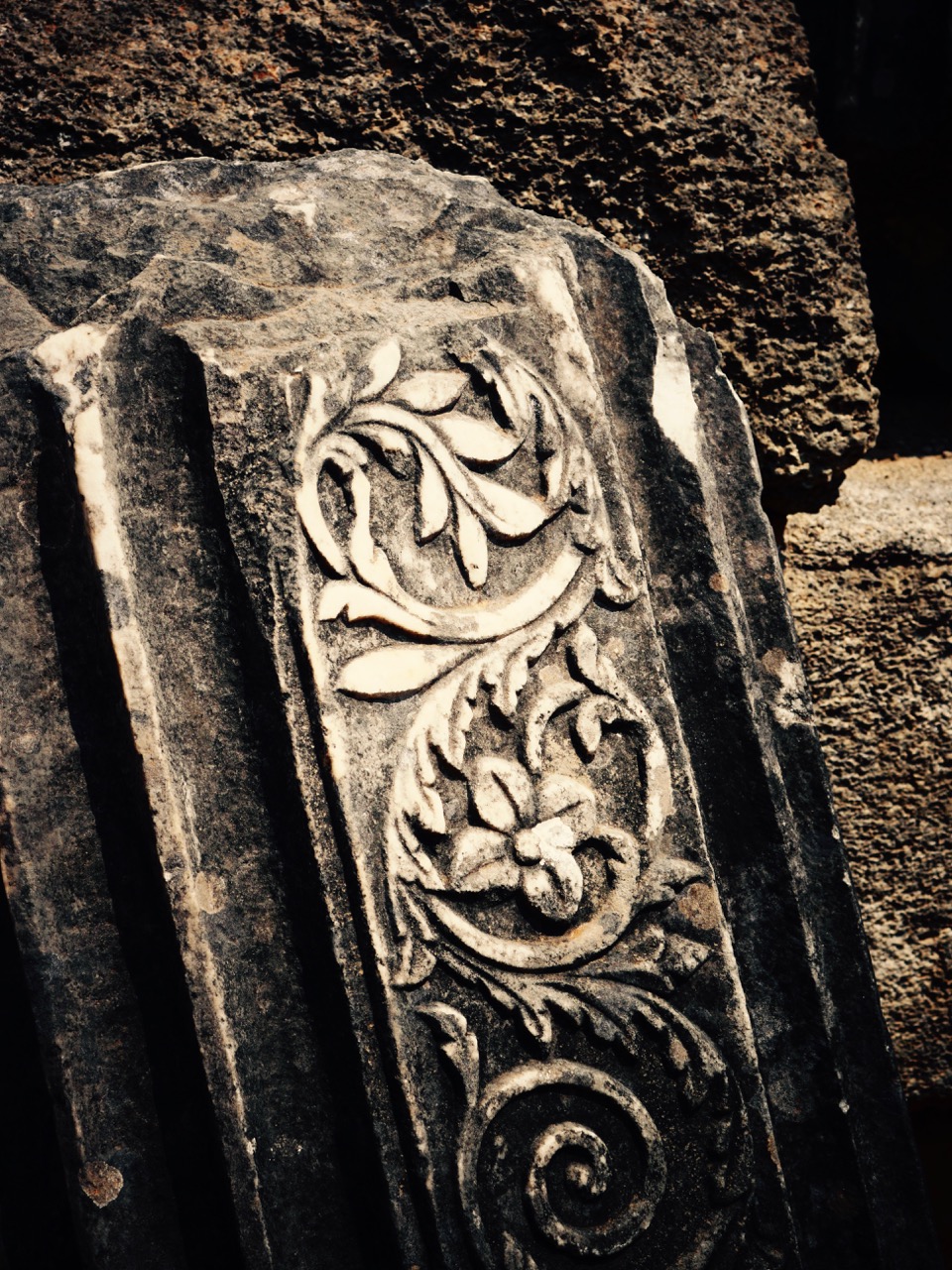 The Fogorellis Go Feral