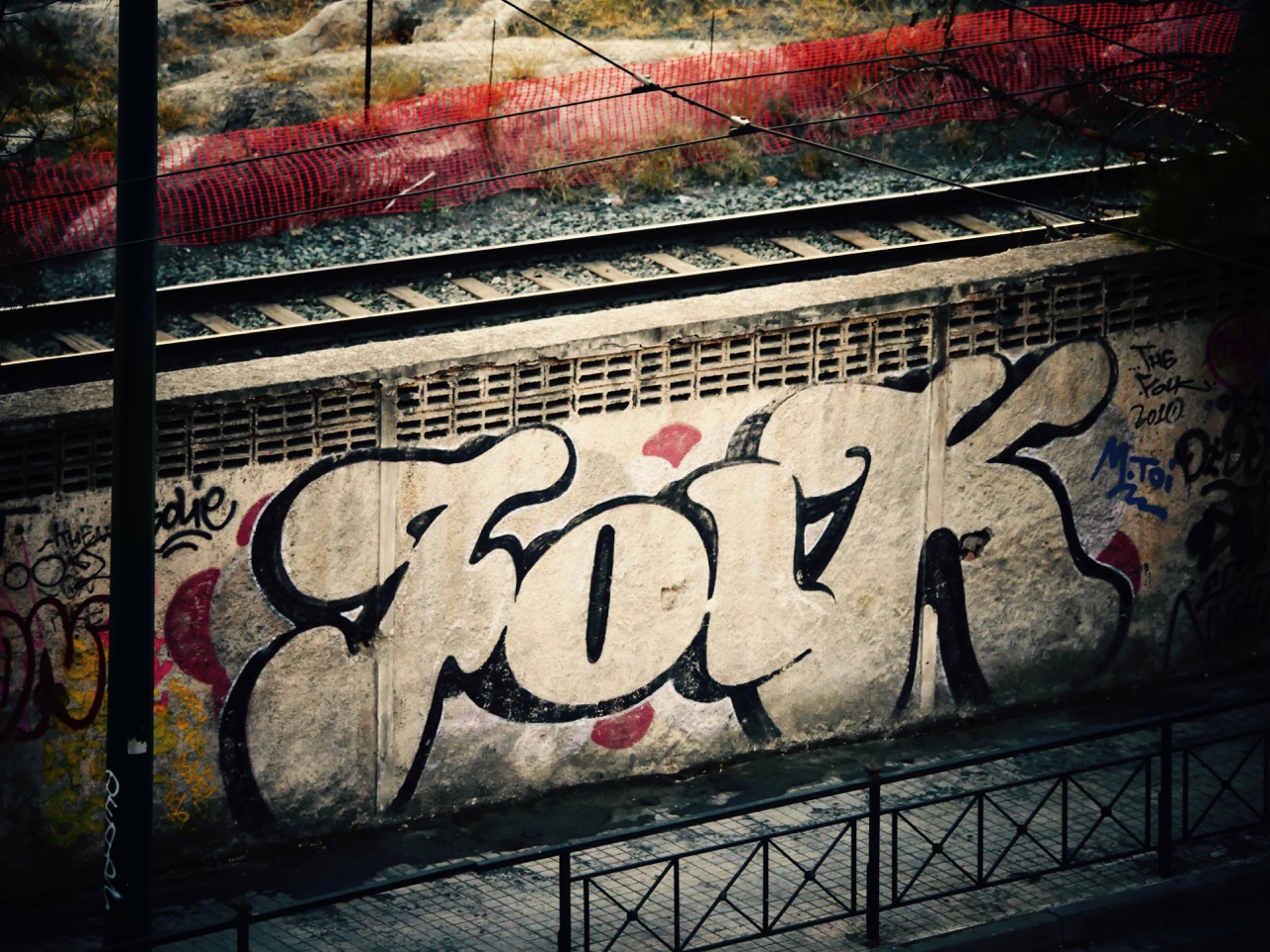 The Fogorellis Go Feral